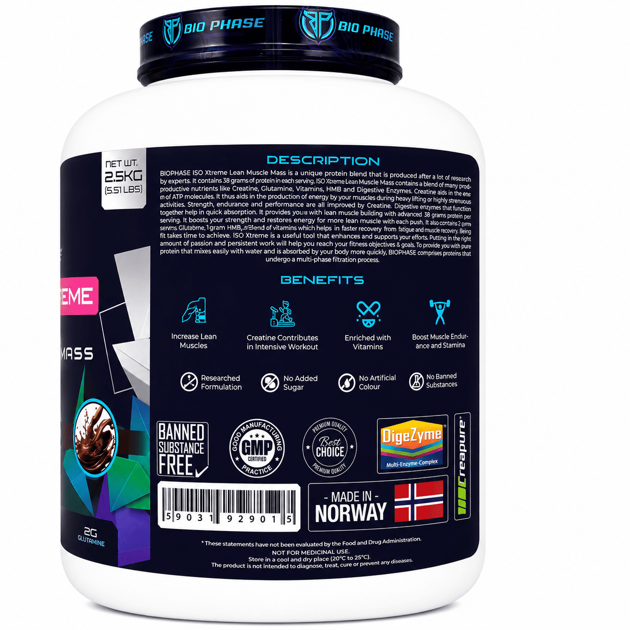MUSCLE MASS - Image 2